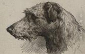 A Scottish Deerhound