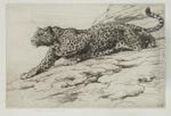 Leopard - view 1