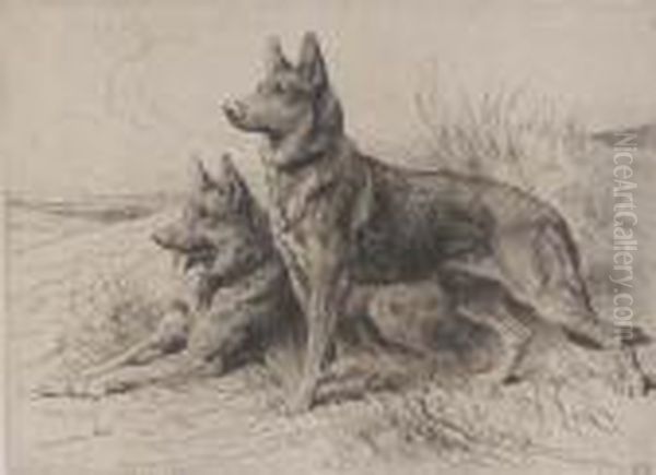 Two Alsatians - view 1