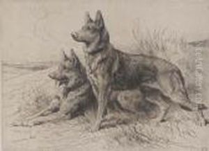 Two Alsatians