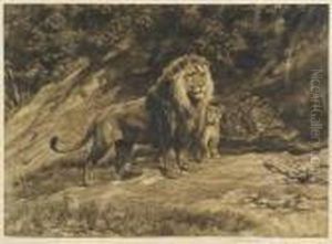 Family Of Lions