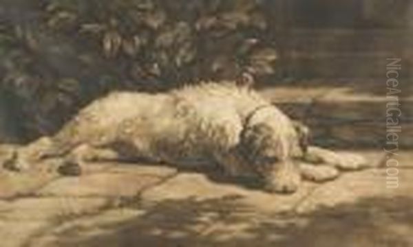 A Terrier Sleeping In A Pool Of Sunlight - view 1