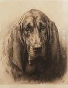 Blood Hound