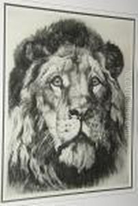 Large Study Of A Lion's Head by Herbert Thomas Dicksee