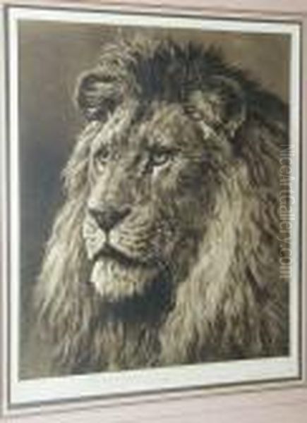 Study Of A Lion's Head - view 1