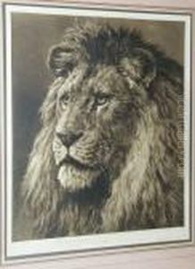 Study Of A Lion's Head by Herbert Thomas Dicksee