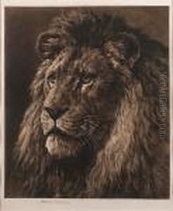 The King by Herbert Thomas Dicksee