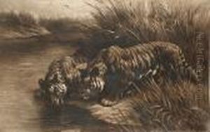 Tigers Watering by Herbert Thomas Dicksee