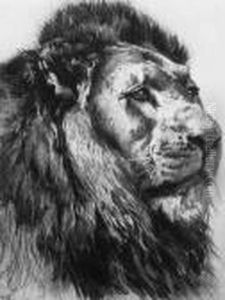 Lion's Head by Herbert Thomas Dicksee