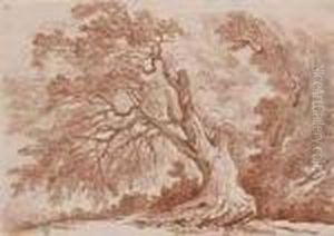 Etude D'arbre by Christian Wilhelm Ernst Dietrich