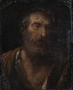 The Head Of An Elderly Man by Christian Wilhelm Ernst Dietrich
