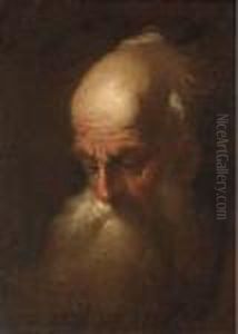 Head Of An Old Man