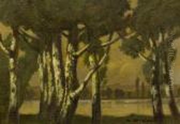 "birken Am See". - view 1