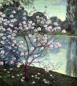 Magnolia
