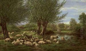 Noonday rest