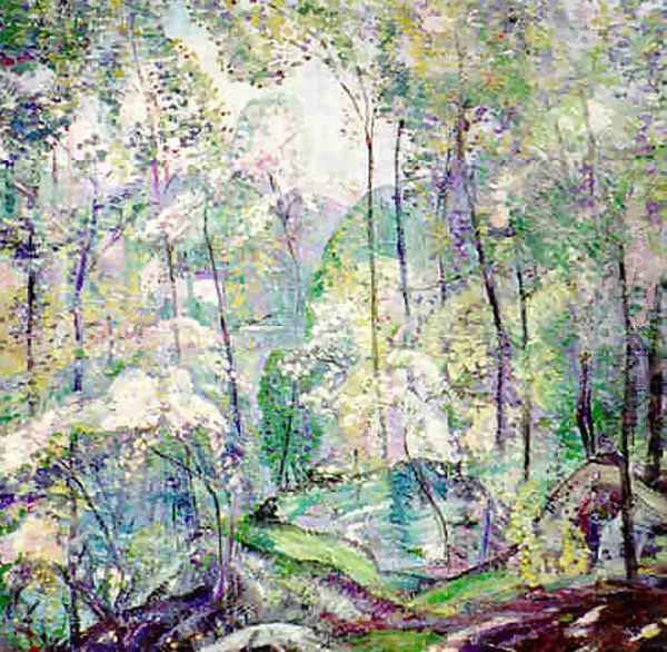 Laurel Forest - view 1