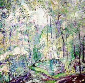 Laurel Forest by Dorothea M. Litzinger