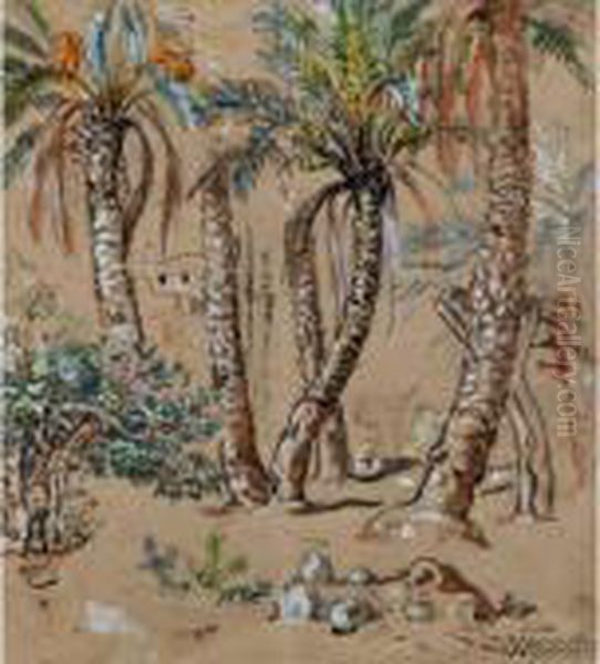 Palmiers Dans L'oasis - view 1