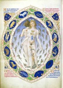 The anatomy of Man and Woman from the Tres Riches Heures du Duc de Berry by Pol de Limbourg