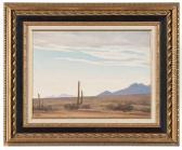 Desert Sky At Evening, Arizona - view 1
