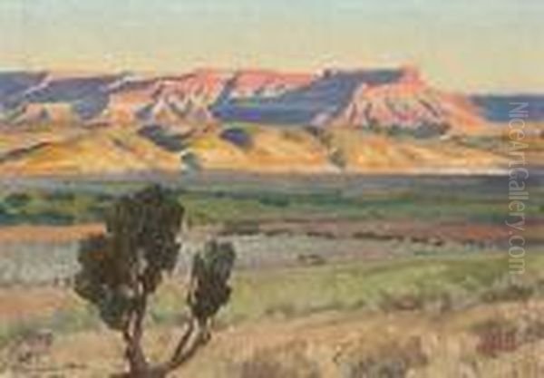Fields Of Toquerville, Utah (no.466) - view 1