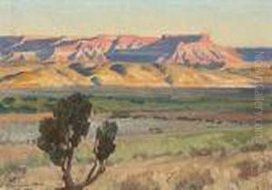 Fields Of Toquerville, Utah (no.466)