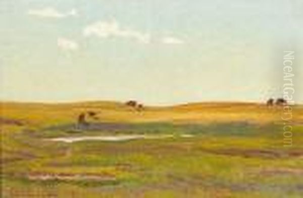 Sandhill Camp - view 1