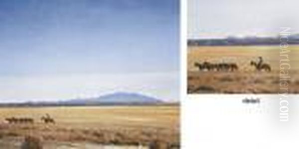 Land Westward - view 1