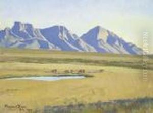 Arizona Pastures
