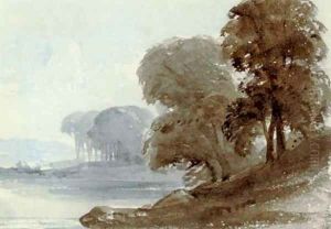 Trees on the water's edge