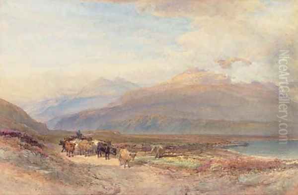 Droving cattle in the Scottish highlands - view 1