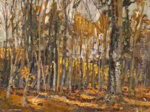 Wood Interior, Algonquin Park