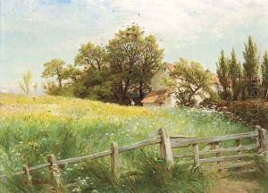 A summer's breeze