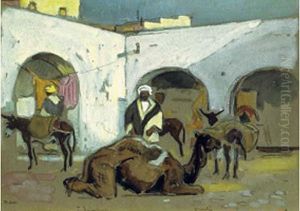 Chameau Au Repos, Rabat