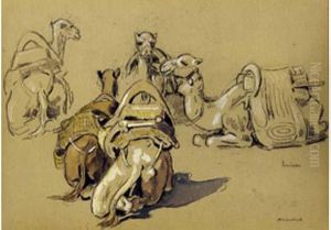 Cinq Chameaux Au Repos, Marrakech by Edouard Doigneau
