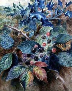 Blackberries and Holly with a Butterfly by Albert Durer Lucas