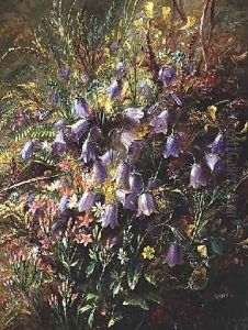 Harebells and other Woodland Flowers and Grasses by Albert Durer Lucas