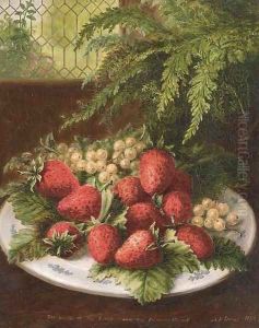 Still life by Albert Durer Lucas