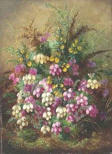 Wild flowers by Albert Durer Lucas