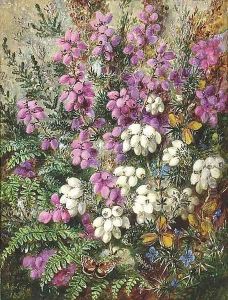 Wild Heath by Albert Durer Lucas
