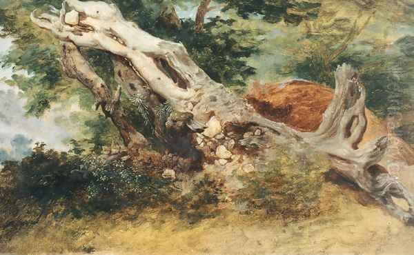 Old Trunk - view 1