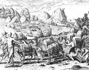 Pack Train of Llamas Laden with Silver from Potosi Mines of Peru by Jacques le Moyne de Morgues