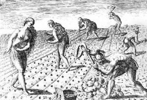 Florida Indians planting maize by Jacques le Moyne de Morgues