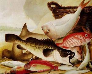 Fish Catch and Dawes Point, Sydney Harbour by John Lewin