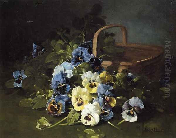 Pansies - view 1