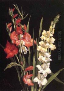 Still Life with gladiolas by Edward Chalmers Leavitt