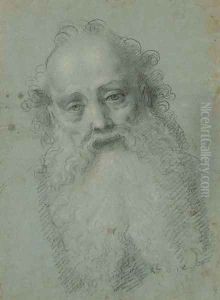 The head of a bearded man by Bernardino Lanino