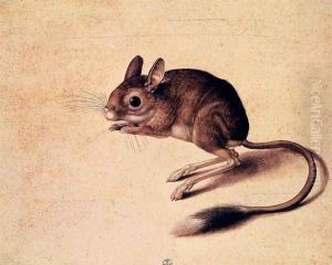 Gerbil by Jacopo Ligozzi