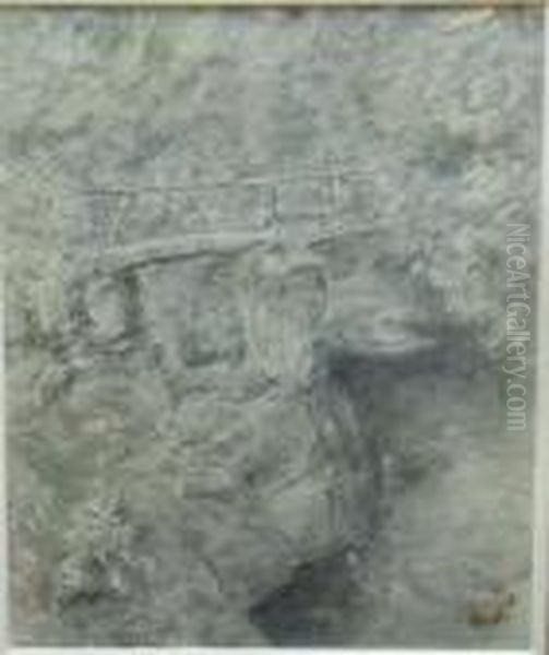 A Footbridge Over A Gorge - view 1