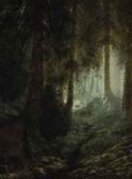 Deer In A Forest Landscape - view 1